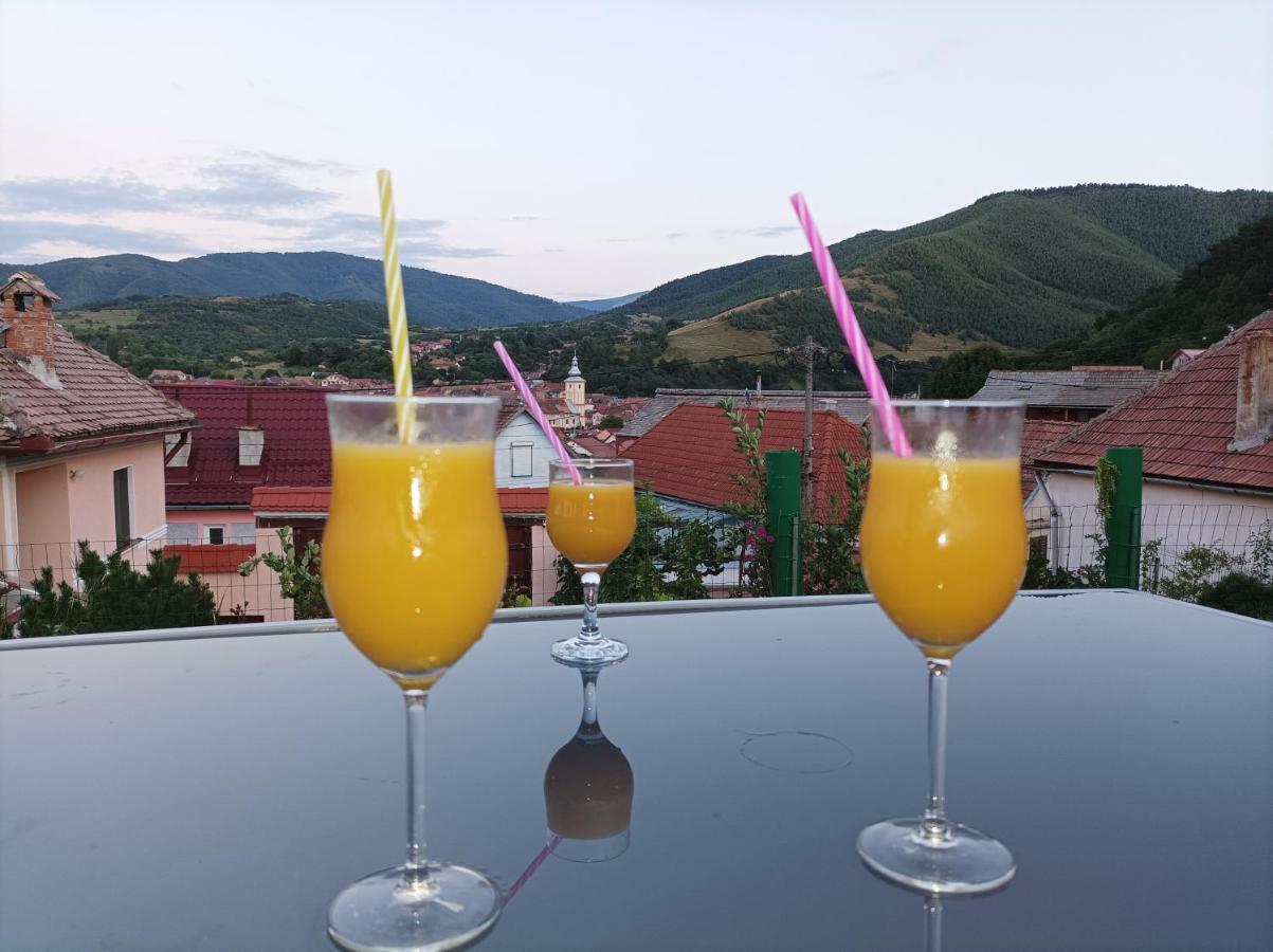 Apartament Panoramic la casa in comuna Răşinari Esterno foto