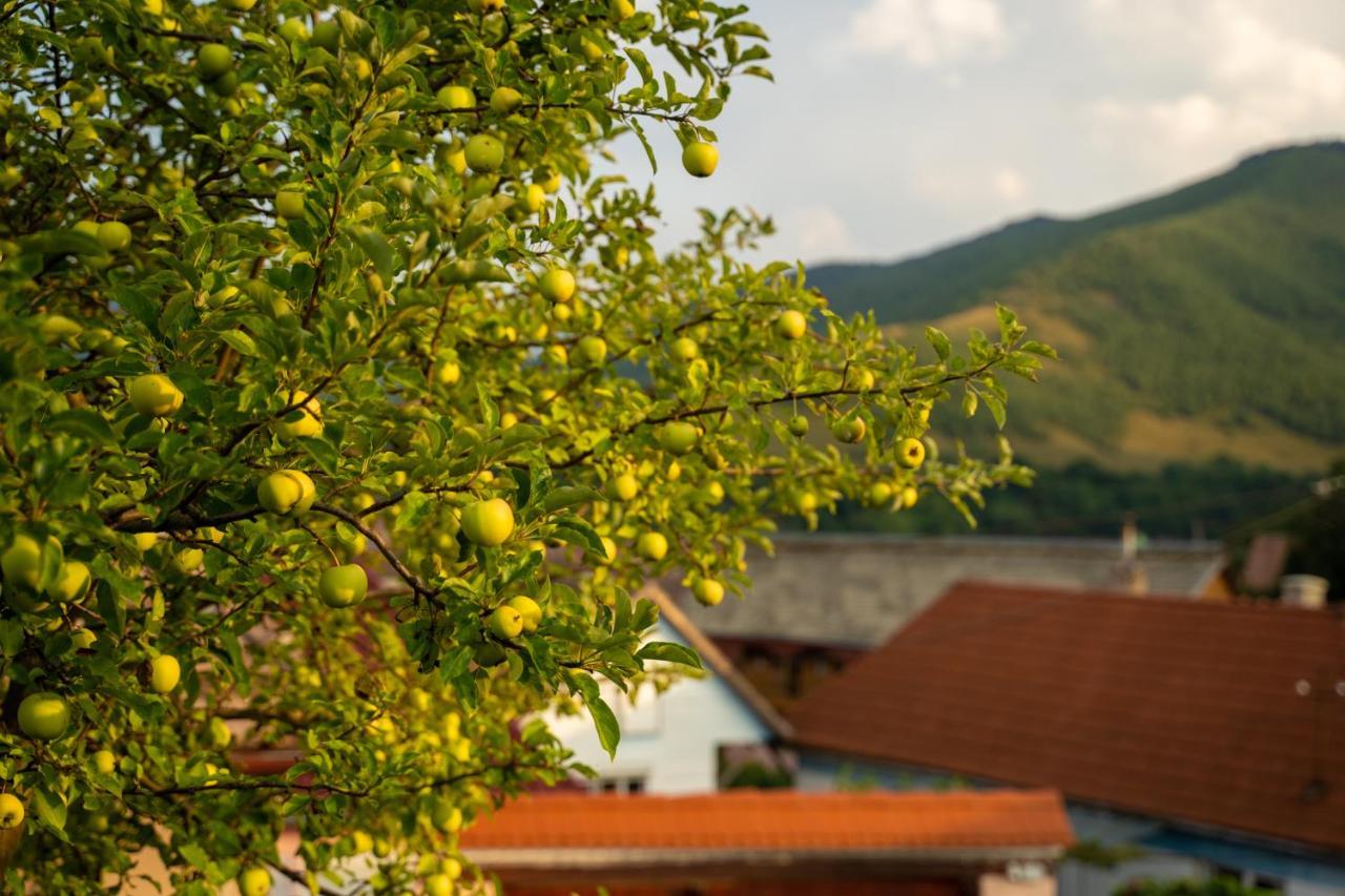 Apartament Panoramic la casa in comuna Răşinari Esterno foto