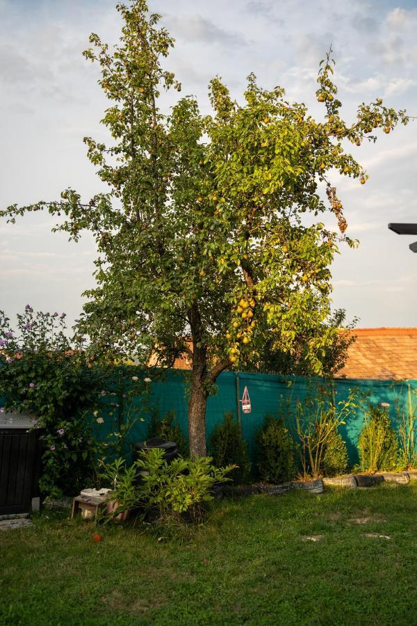 Apartament Panoramic la casa in comuna Răşinari Esterno foto